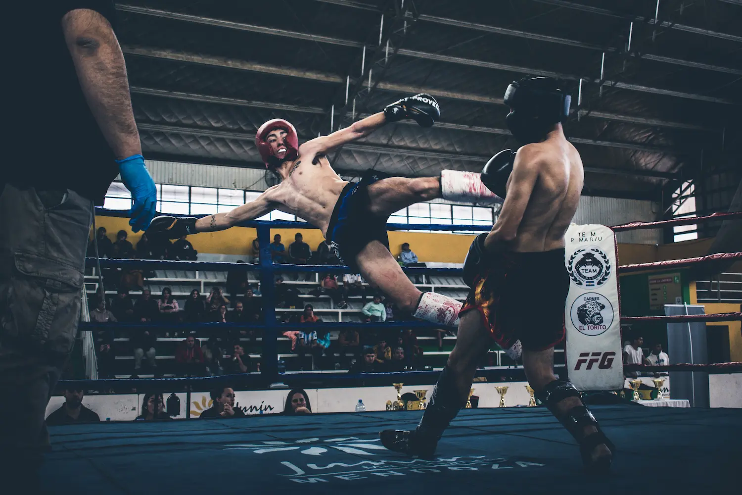 Sportifs de combat illustrant les besoins nutritionnels propres à chaque discipline