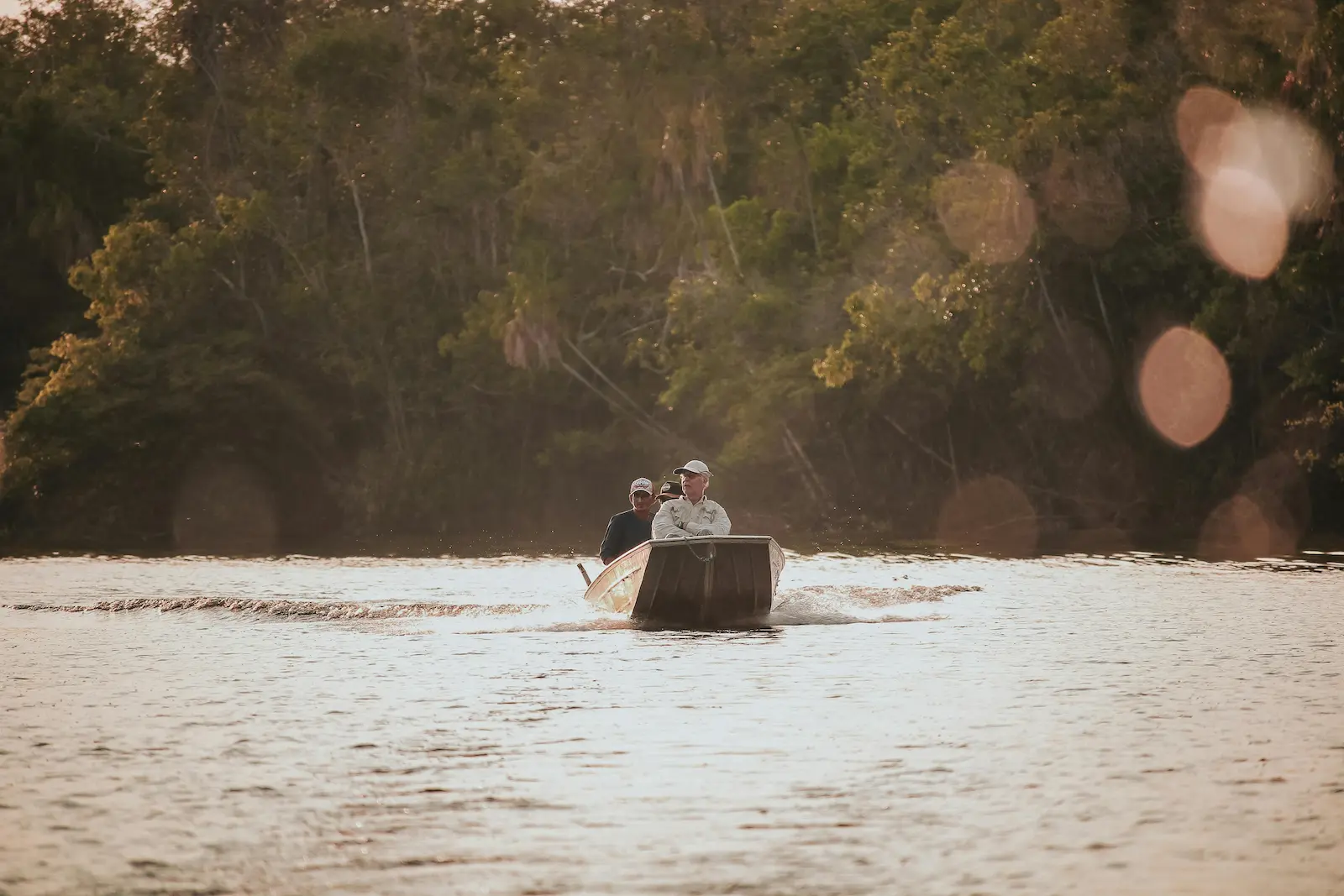 Forêt luxuriante de l’Amazonie vue depuis son fleuve