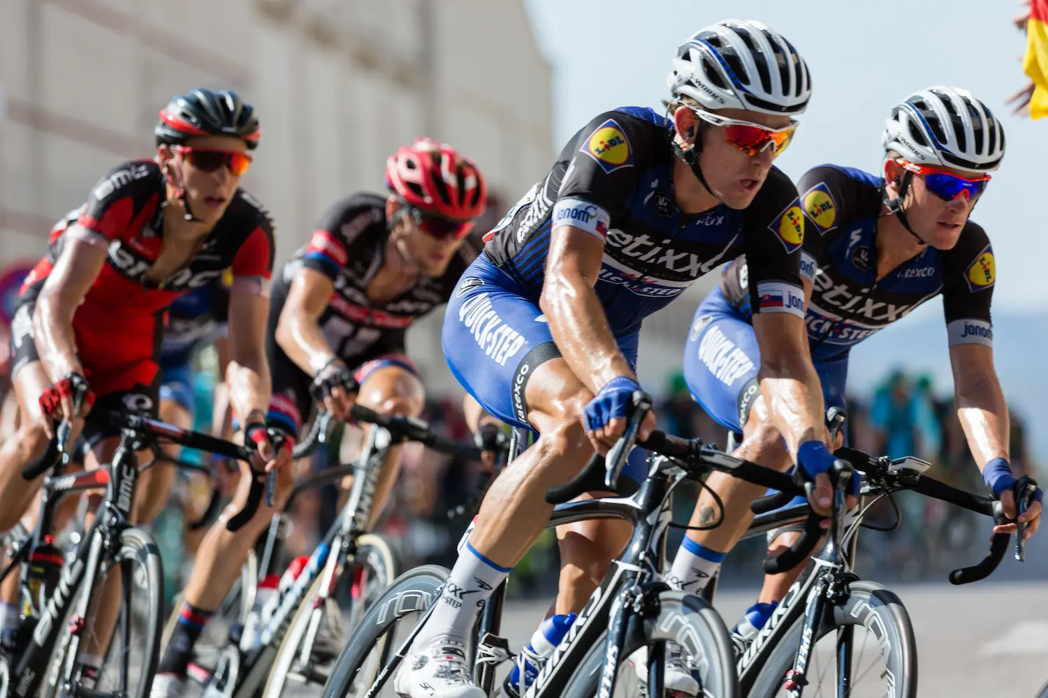 Cyclistes sur des vélos de route